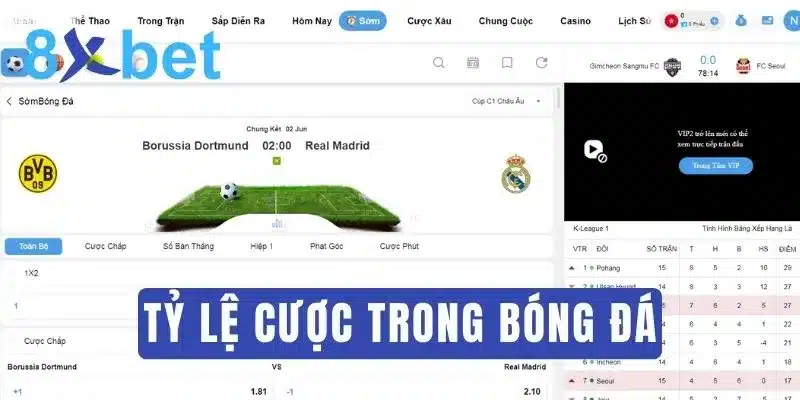 Tỷ lệ cược bóng đá là gì? Tìm hiểu chi tiết về tỷ lệ kèo cược 2 Tìm hiểu thuật ngữ tỷ lệ cược bóng đá là gì