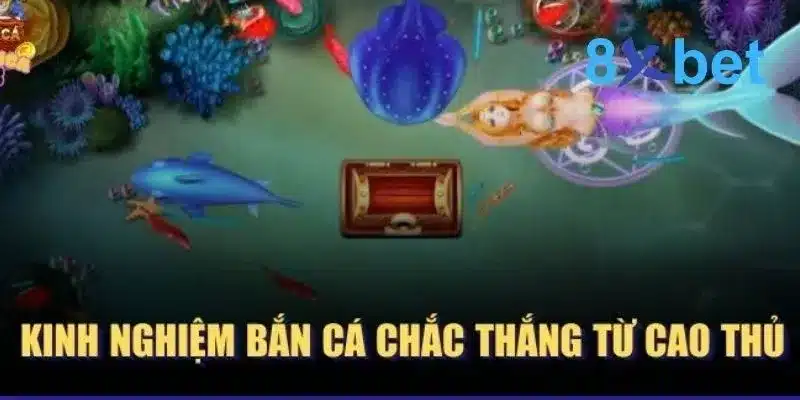 Bắn Cá Xèng - Trò Chơi Giải Trí Thú Vị Bậc Nhất Hiện Nay 5 Kinh nghiệm bắn cá giúp chơi game được hiệu quả