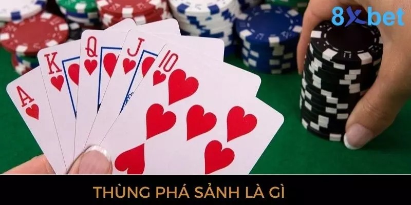 Thùng Phá Sảnh - Giải Mã Thuật Ngữ Trong Bài Mậu Binh 2 Tìm hiểu thùng phá sảnh trong game bài là gì